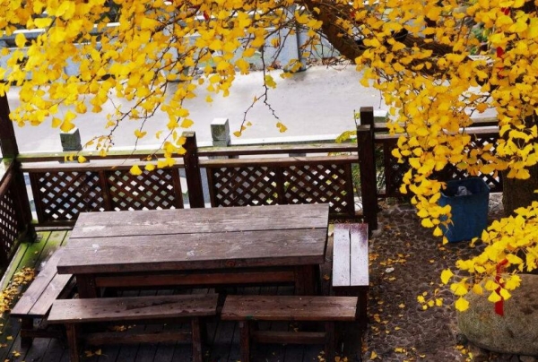 鄭州防腐木，防腐木垃圾桶的應(yīng)用