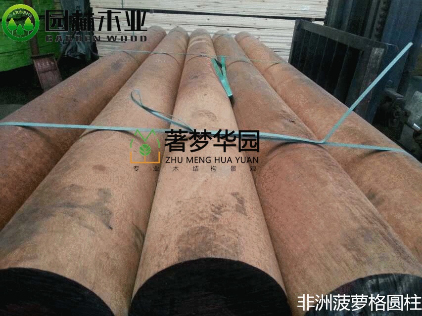 非洲菠蘿格圓柱 非洲菠蘿格圓柱