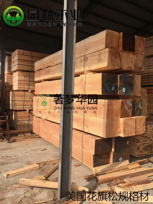 花旗松素材 花旗松素材