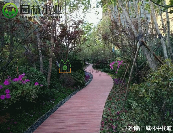 林中棧道 林中棧道